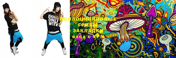 марки lsd Козельск