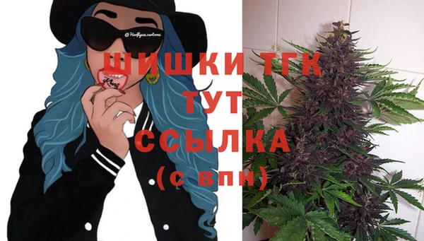 дживик Каменск-Шахтинский