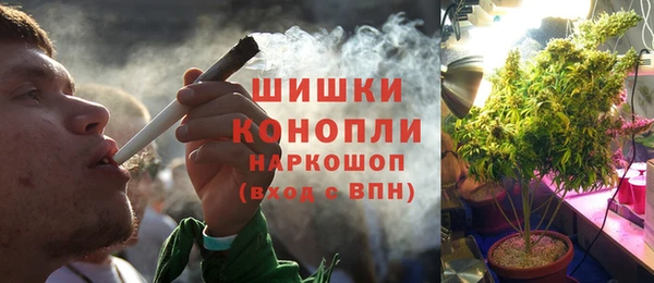 тгк Каменногорск