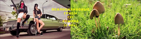 герыч Каменка