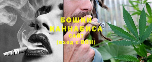 прущие грибы Козловка