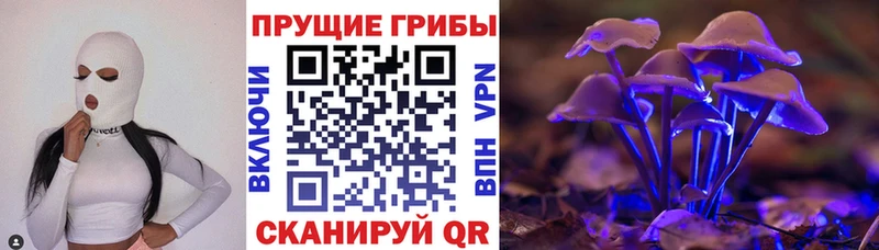 Галлюциногенные грибы Psilocybe  Кузнецк 